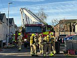 Two teenagers and woman rushed to hospital as 'three houses set on fire' in small town - police arrest man, 50, for 'attempted murder'