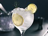 Make mine a double! The science behind why a gin and tonic is one of the healthiest alcoholic drinks