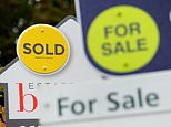 Rightmove faces '£1bn lawsuit' as estate agents claim say it is ripping them off