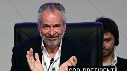 Adaptation au changement climatique, énergies fossiles, forêts tropicales... Ce qu'il faut retenir de la COP30 après l'accord trouvé à Belém