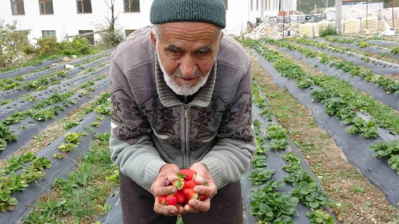 85 yaşında durmadan çalışıyor, ‘Hayır bahçesiyle’ gönülleri fethediyor! Bahçesindeki her şeyi ücretsiz dağıtıyor