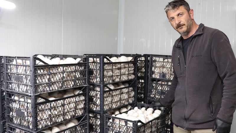 İstanbul'da yöneticiliği bırakıp memleketinde bu işe başladı; şimdi taleplere yetişemiyor