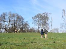 Bedrohtes Erbe: Eine der wichtigsten archäologischen Fundstellen Brandenburgs droht auszutrocknen