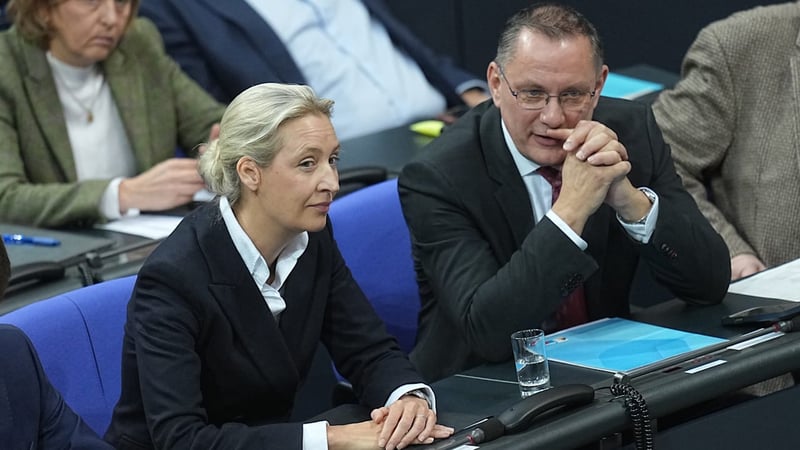 Sonntagstrend - AfD zurück auf altem Rekordhoch