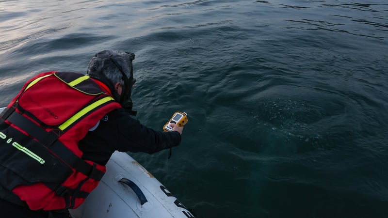 Halk günlerdir göldeki bu görüntüyü konuşuyordu! Nedeni belli oldu