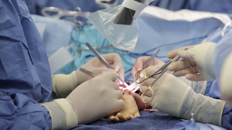 "Le plus précieux des cadeaux": amputée des quatre membres, elle revit après une greffe de la main