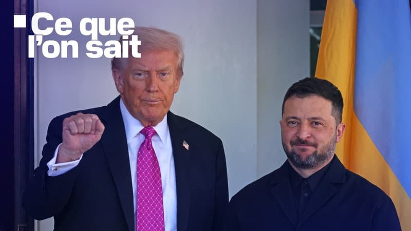 Cessions de territoires, Otan, armée limitée… Ce que l'on sait sur le plan de paix américain pour l'Ukraine