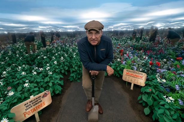 Vinnie Jones' plans for a country shooting retreat scuppered by barn owl experts