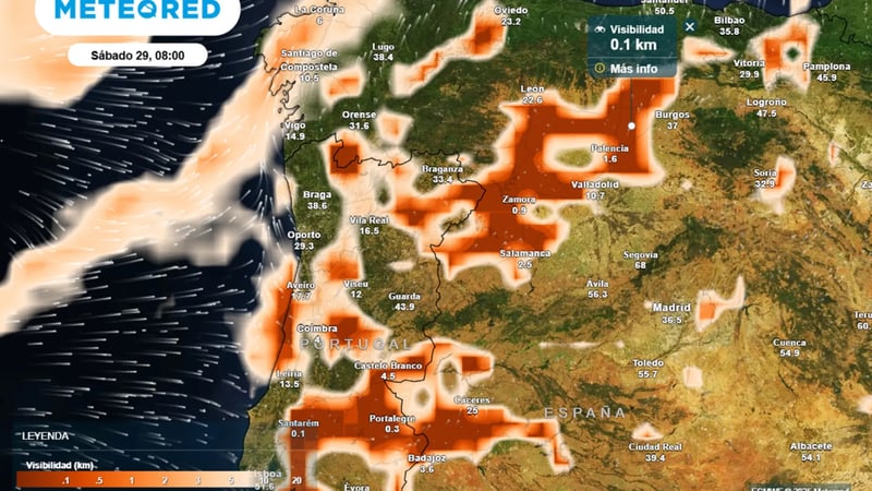 La Aemet emite avisos por niebla para este sábado: estas serán las zonas afectadas