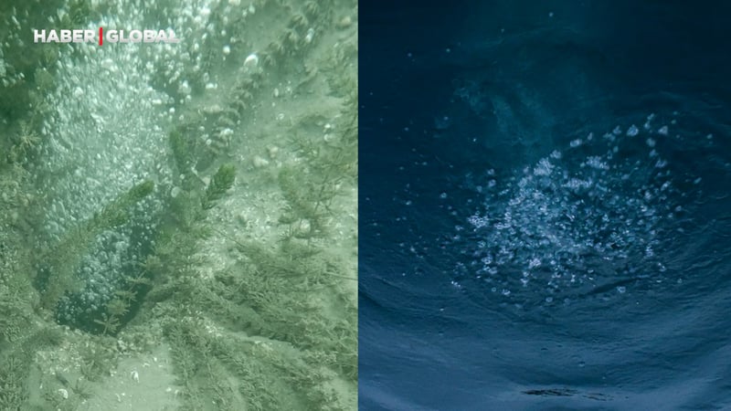 "Depremin habercisi olabilir! Sapanca Gölü'ndeki fokurdamalar böyle görüntülendi