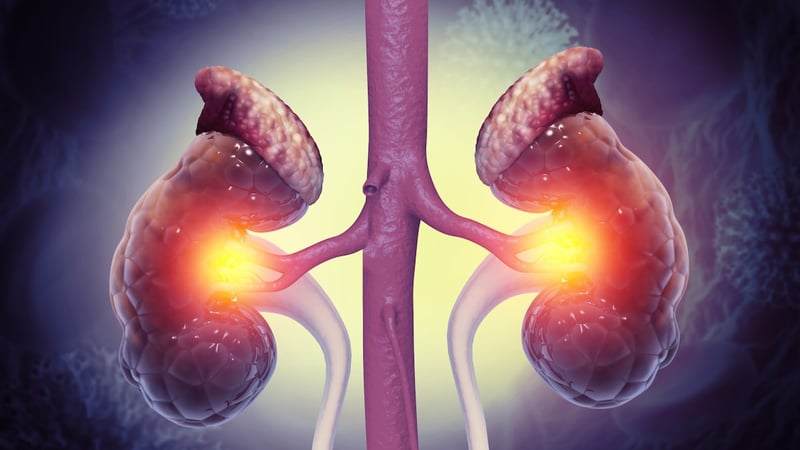 Millionen Deutsche sind nierenkrank, ohne es zu wissen – wie Sie sich schützen