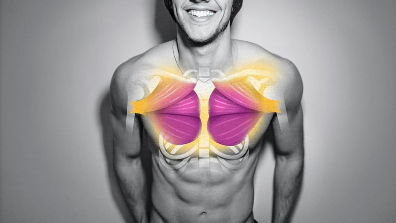 Fitness: Starke Muskeln: Mit diesen Sportarten steigern Sie Ihre Kraft