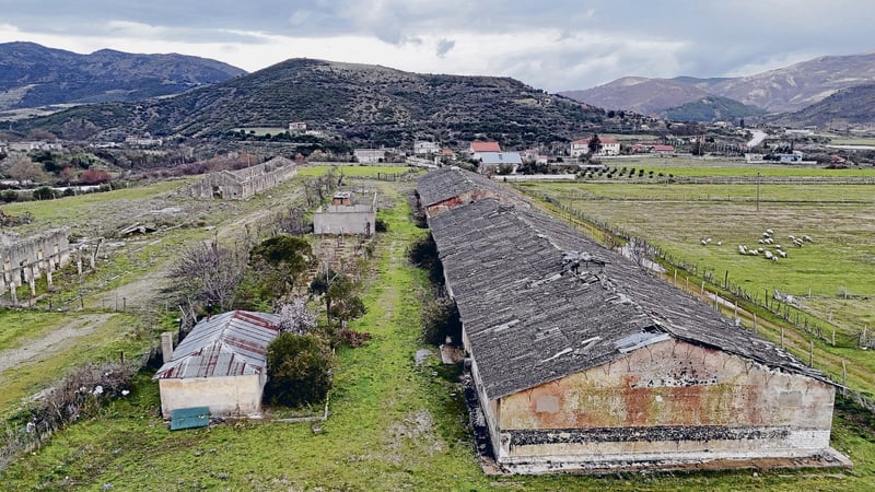 Albanien | Zypressen zum Gedenken