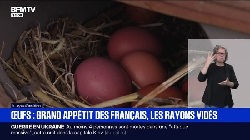 Les pénuries d'œufs se multiplient face à une hausse de la consommation des Français