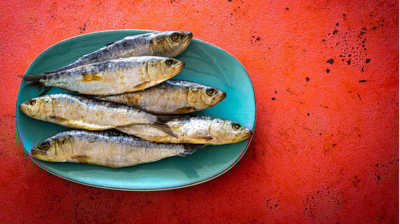 Exotische Tiere und Opium: An diese verrückten Diäten glaubten die Dichter und Denker des 19. Jahrhunderts