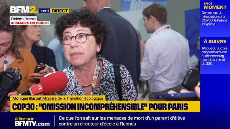 COP30: "Ceux qui bloquent, ce sont les pays pétroliers", dénonce la ministre de la Transition écologique