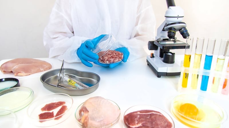 EU-weites Signal: Ein weiteres Land untersagt Laborfleisch – Experten kritisieren Entscheidung
