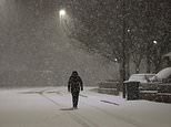 Britain hit with bone-chilling -11C temperatures as multiple Met Office ice warnings come into force after snow shuts schools and causes travel chaos
