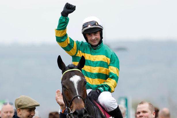 Newsboy's horseracing tips for Friday's three meetings including Cheltenham NAP