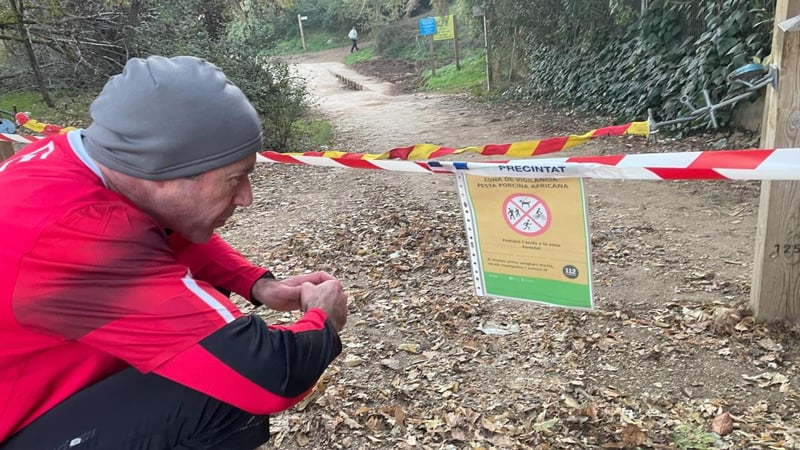 El suministro de productos de cerdo está garantizado pese a la peste porcina, asegura el ministro de Agricultura