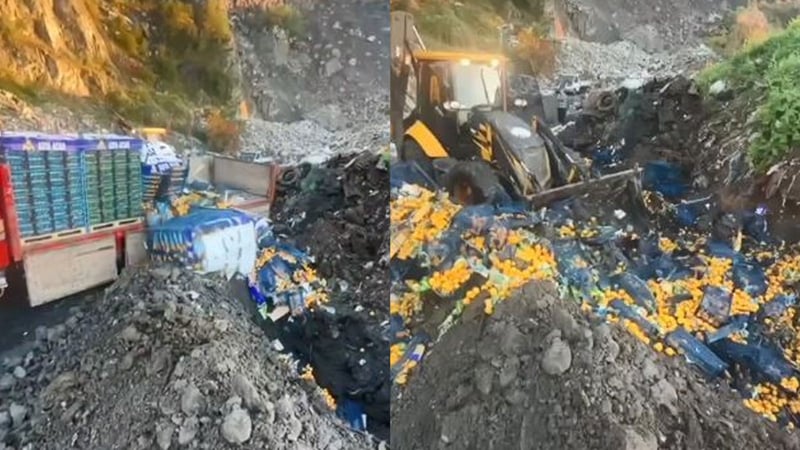 Zirai ilaç kalıntısı tespit edilen tonlarca mandalina imha edildi