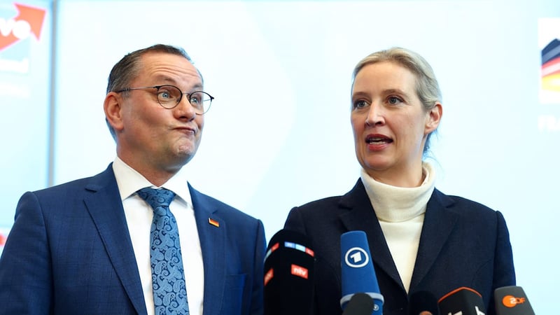 Exklusive Umfrage - Hat die Putin-Debatte der AfD geschadet?