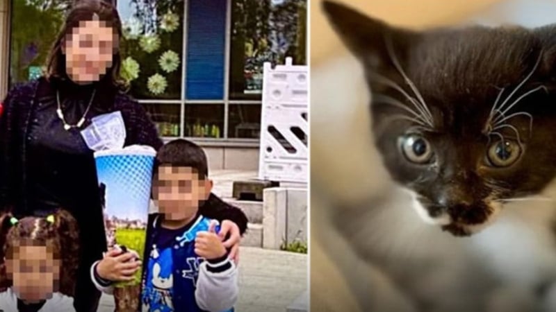 Zehirlenen böcek ailesinden geriye sadece o kalmıştı, o da isimsiz kaldı