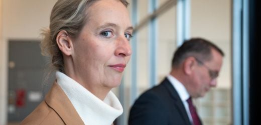 AfD: Putin treibt einen Keil zwischen Alice Weidel und Tino Chrupalla