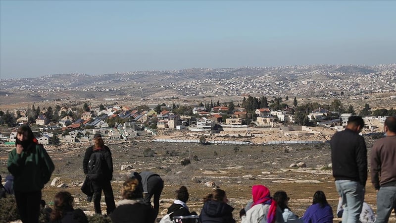 İsrailli yerleşimciler, Ramallah’ta bir Filistinli'nin koyunlarını zehirledi