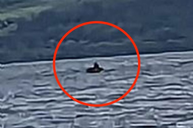 Loch Ness monster has 'black head' as US tourist makes Nessie sighting claim