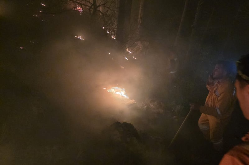 Hatay Arsuz’da orman yangını