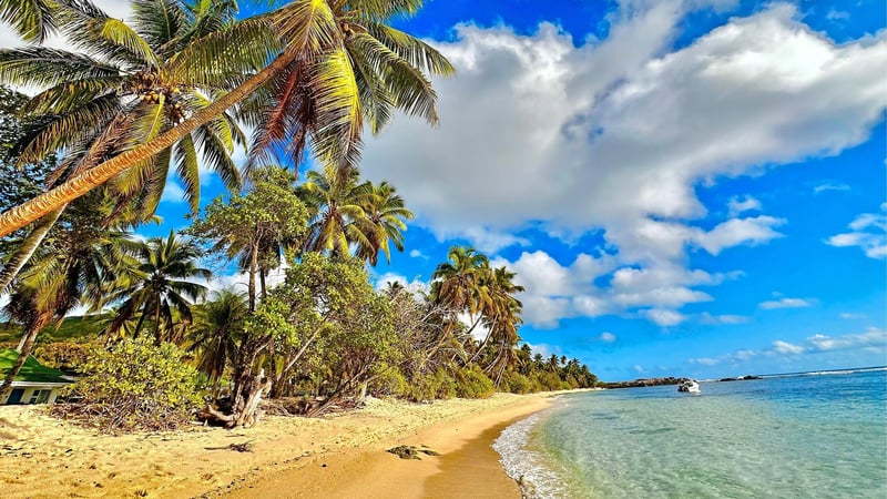 Urlaub auf den Seychellen: Das Paradies, aber günstig