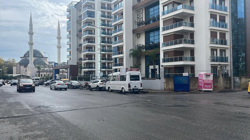 Alanya'da sokakta kadına saldıran cani yakalandı