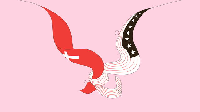 Schweiz und USA: Die Schweiz als Kolonie