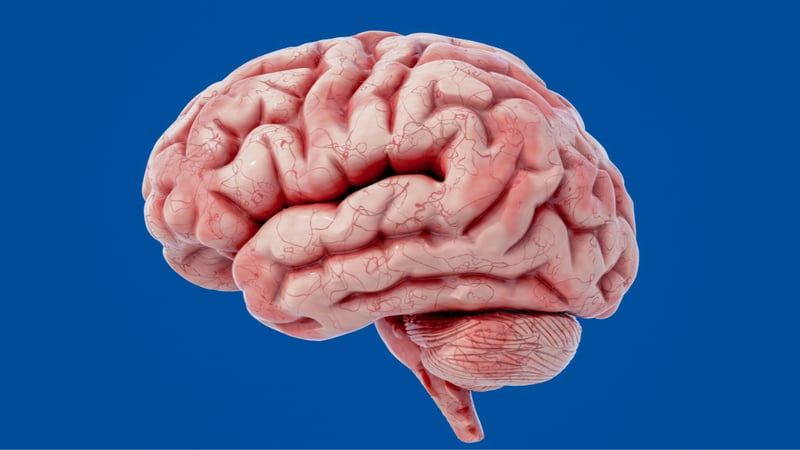 Aux frontières de la télépathie: nos cerveaux seraient capables de se synchroniser, affirme une étude