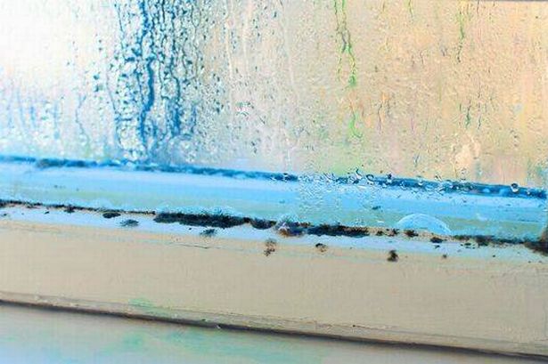 Banish window condensation by implementing 1 daily habit every morning