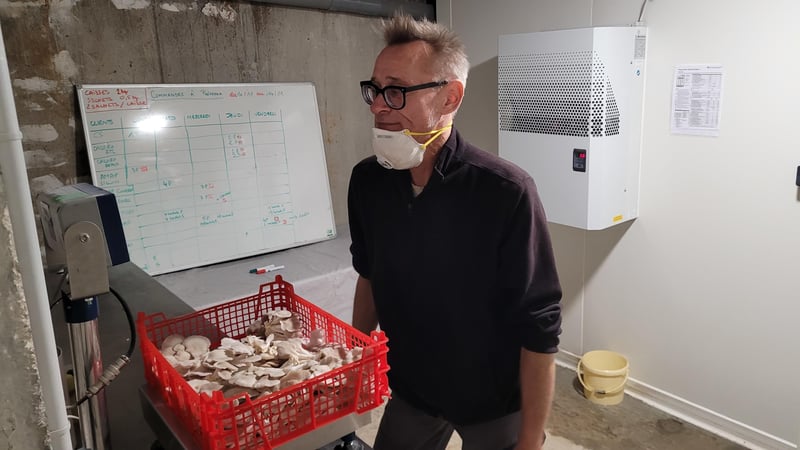 Près de Nantes : une champignonnière au sous-sol d’un HLM pour recréer du lien et empêcher les squats