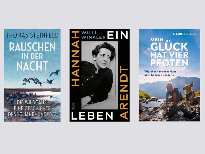 Literatur: Von SZ-Autoren