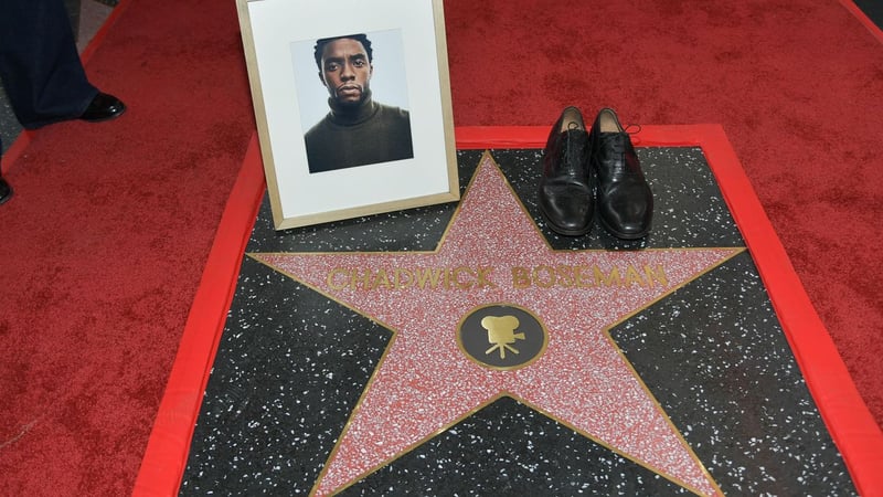 Auszeichnung: Chadwick Boseman posthum mit Hollywood-Stern gefeiert