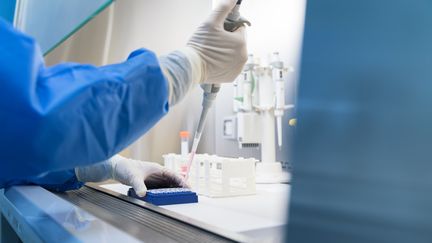 Un nouveau virus, créé par intelligence artificielle, s'attaque aux bactéries