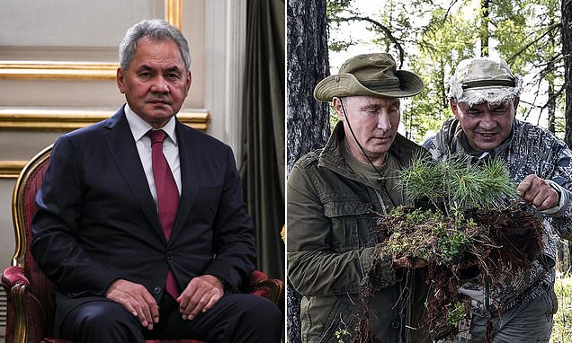 'Ukrainian plot' to kill high-ranking Putin official using booby-trapped flowers at his parents' grave is foiled, Kremlin claims - with Sergei Shoigu the rumoured target