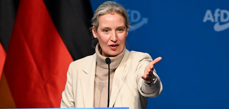 Die Professionalisierung funktioniert, die Mäßigung nicht