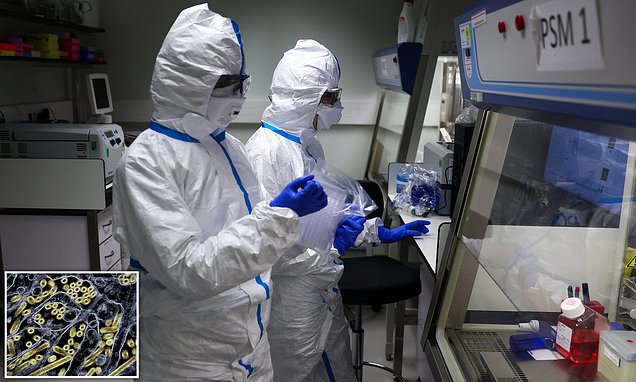 'Worrying' virus resistant to body's defense system... as experts warn of looming 'pandemic threat'