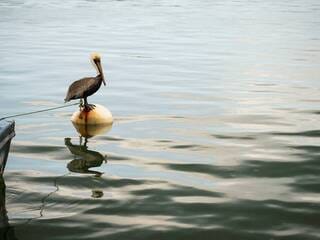 Guadeloupe : 255 nouvelles plaintes déposées pour dénoncer la crise de la gestion de l’eau