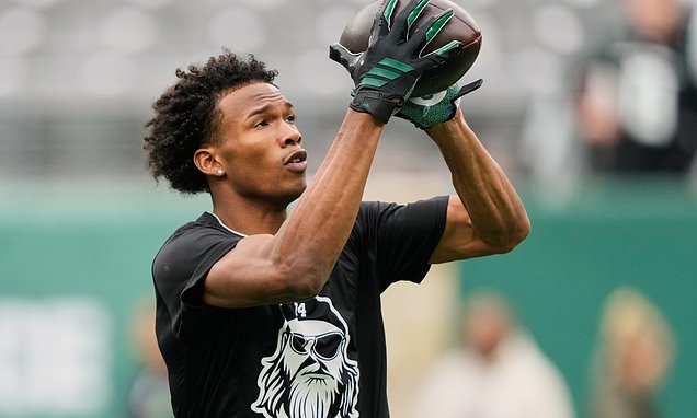 Jets' disastrous season gets even worse as star receiver Garrett Wilson is put on IR with knee injury