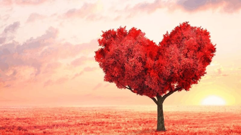 Bu görselde ilk gördüğünüz şey şu anda en büyük gücünüzü ortaya çıkarıyor