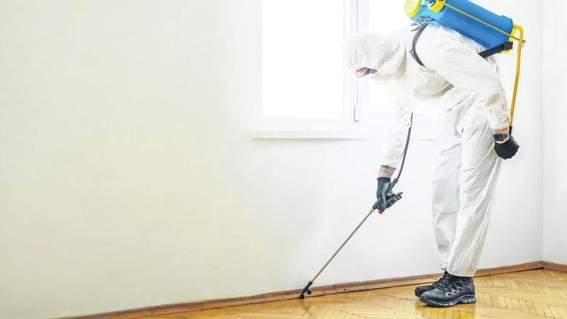 Gurbetçi Böcek Ailesi’nin ölümü sonrası vatandaş uyandı! belge istiyor