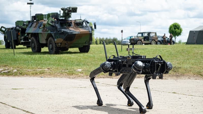 "Terminator ne défilera pas au 14-Juillet": l'armée française mise sur l'IA pour développer des unités de drones et de robots dotés d'un "cerveau collectif" (mais elle veut garder la main sur la décision de vie ou de mort)