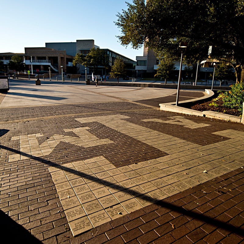 Texas A&M Wrong to Fire Professor Melissa McCoul Over Gender Lesson, Panel Rules