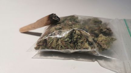 Près de deux tonnes de cannabis saisies au Havre, 15 personnes interpellées